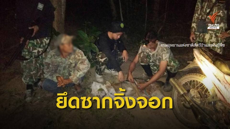 จนท.อุทยานแห่งชาติภูผาเหล็กจับผู้ต้องหา พร้อมยึดซากจิ้งจอก