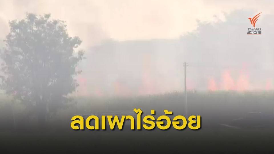 ธ.ก.ส.ปล่อยกู้ซื้อรถตัดลดเผาไร่อ้อยแล้ว 2,679 ล้านบาท