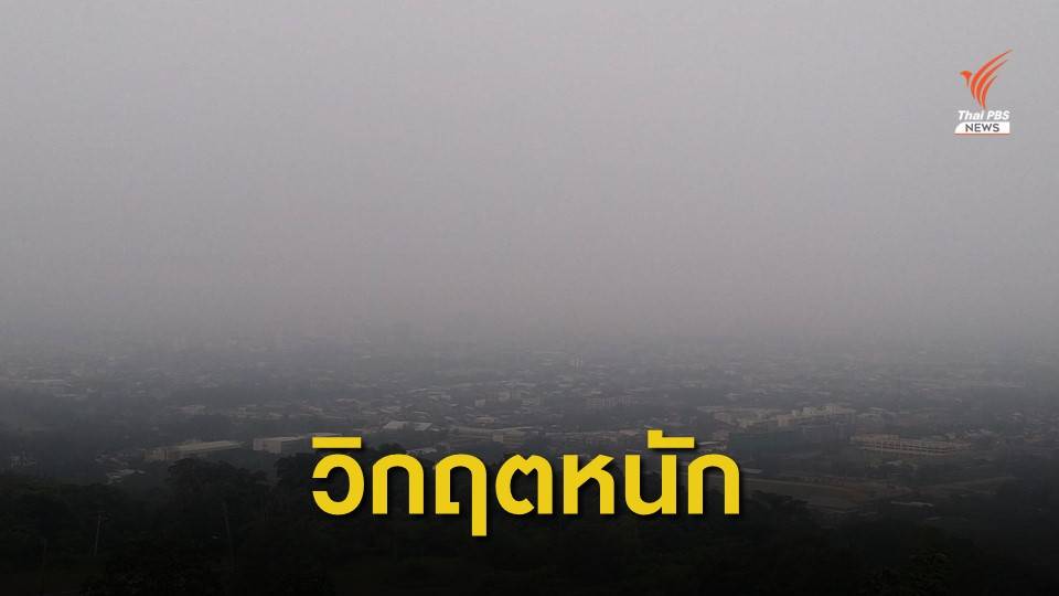 หมอกควันไฟป่าเกาะสุมาตรา ดันค่าฝุ่น PM2.5 "หาดใหญ่" พุ่งสูงสุดรอบ 3 ปี