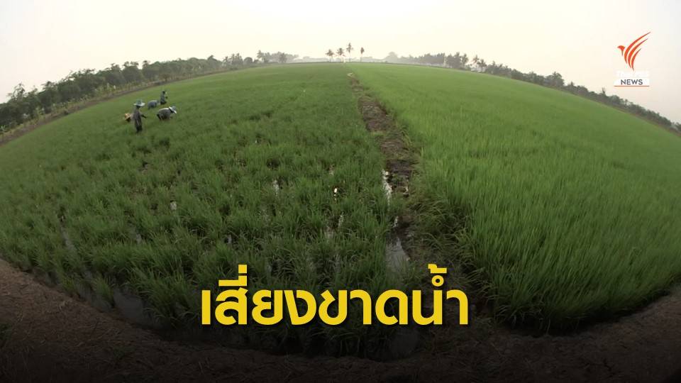 4 เขื่อนหลักน้ำน้อย "ชาวนาลุ่มเจ้าพระยา" เตรียมงดปลูกข้าว