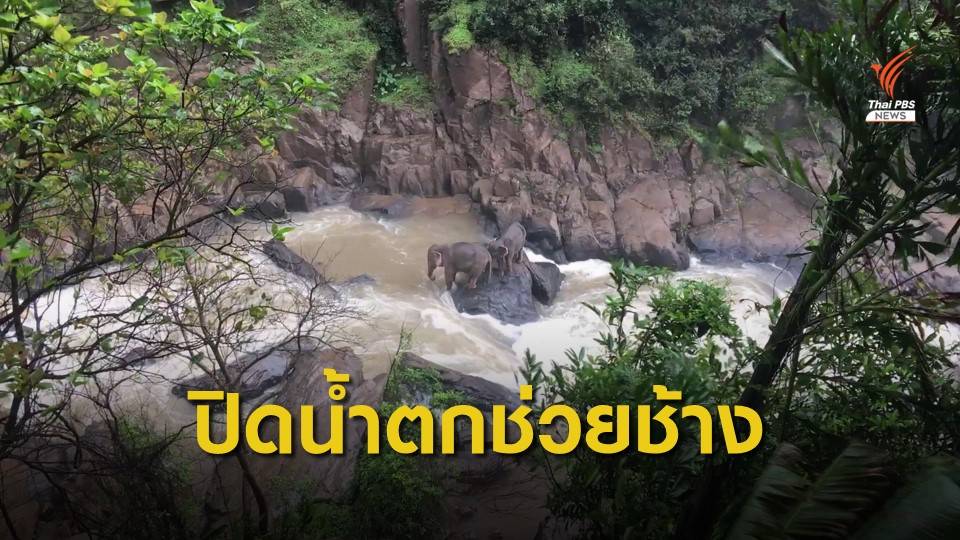 ปิดน้ำตกเหวนรกชั่วคราว เร่งช่วย "ช้างป่า" 2 ตัว ตกเหว