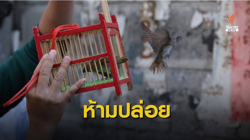 ย้อนมติมหาเถรสมาคม ย้ำชัด "พื้นที่วัดห้ามนำสัตว์มาปล่อย"