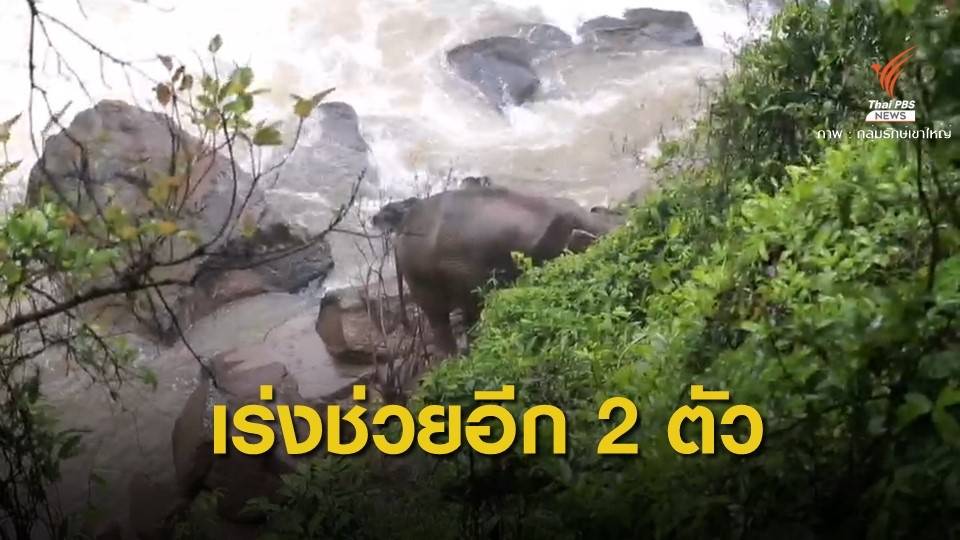 จนท.ใช้อาหารล่อช้างอีก 2 ตัว หวังให้พ้น "เหวนรก"