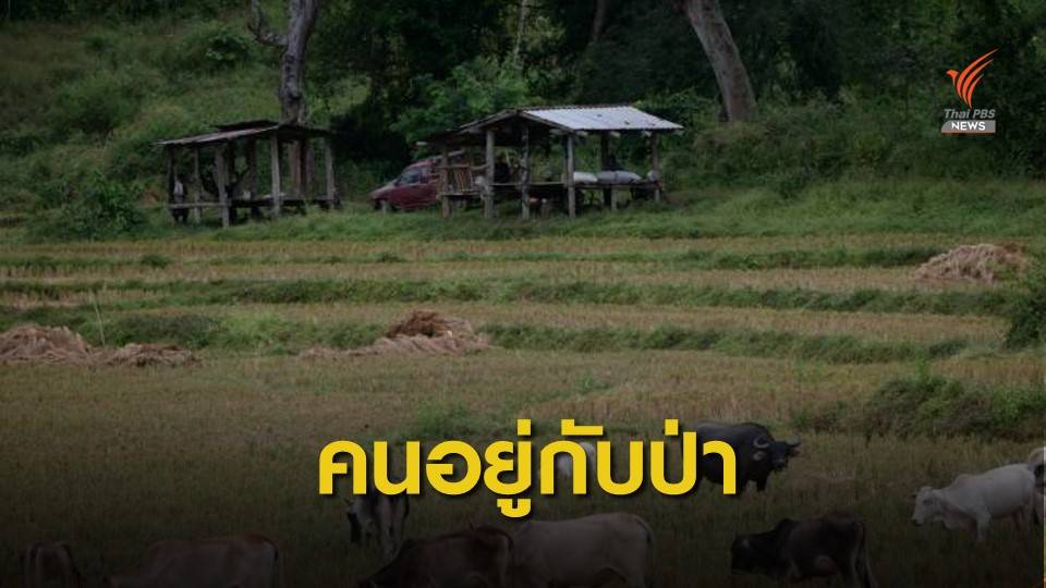 ไฟเขียวกฎกระทรวง 2 ฉบับรับ "ป่าชุมชน" ให้สิทธิทำกินในป่า