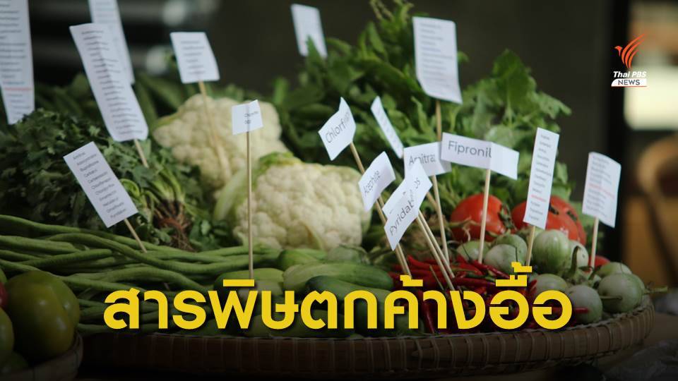 ผลตรวจสารพิษตกค้าง "ผัก - ผลไม้" ปี 62 เกินมาตรฐานร้อยละ 41
