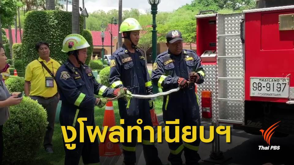 งูเหลือม โผล่ทำเนียบฯ แจ้งกู้ภัยจับ