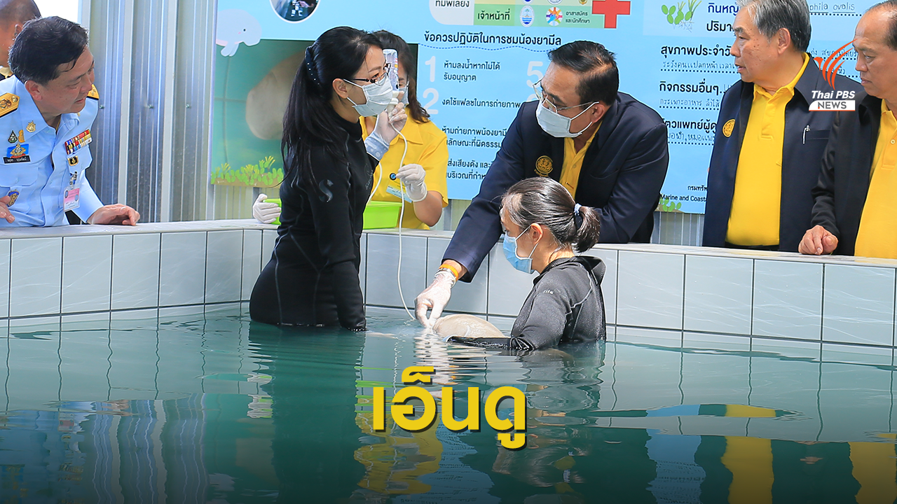 นายกฯ ป้อนนมลูกพะยูน "ยามีล" ระหว่างตรวจราชการที่ภูเก็ต