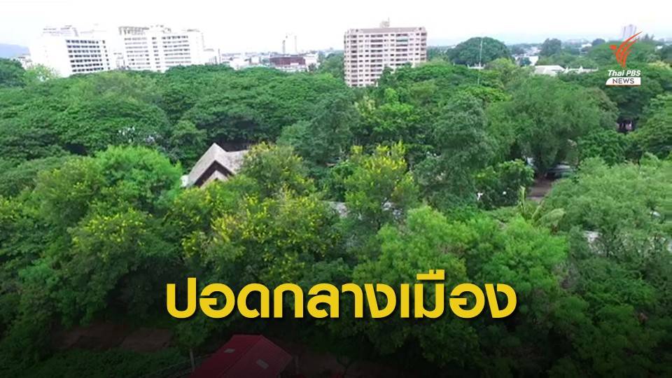 เชียงใหม่เตรียมเปิดพื้นที่สีเขียว "สวนเจริญประเทศ" 28 ก.ค.นี้