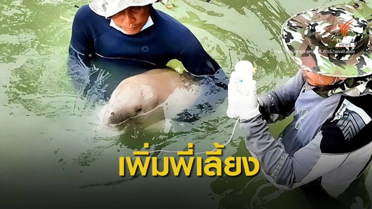 "มาเรียม" ตอบสนองการเลี้ยงดี-เปิดรับอาสาเสริมทีมดูแล