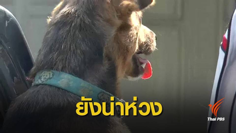 คนที่ 2 ของปี "พิษสุนัขบ้า" คร่าชีวิตเด็กหญิงนครศรีธรรมราช