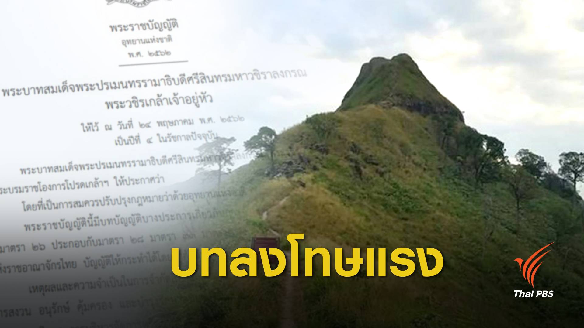 ยาแรง ! เปิดบทลงโทษ กม.อุทยานฉบับใหม่อีก 180 วันบังคับใช้