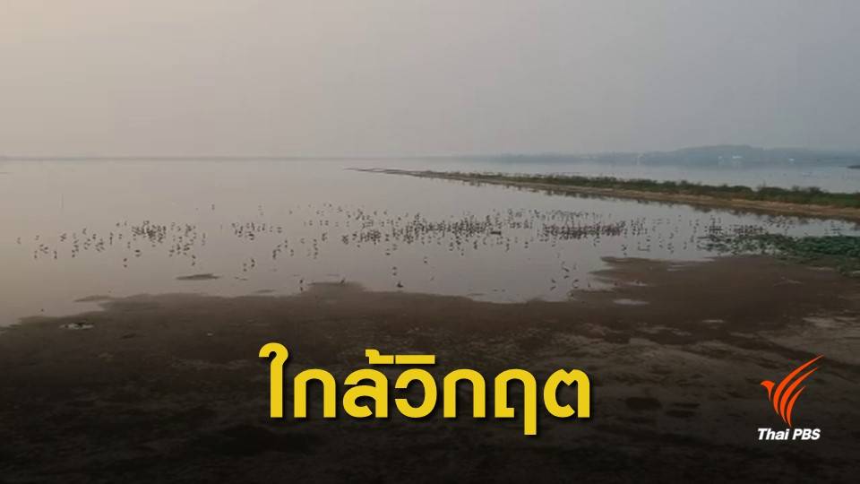 กว๊านพะเยาน้ำลด หวั่นซ้ำวิกฤตแล้งปี 2559