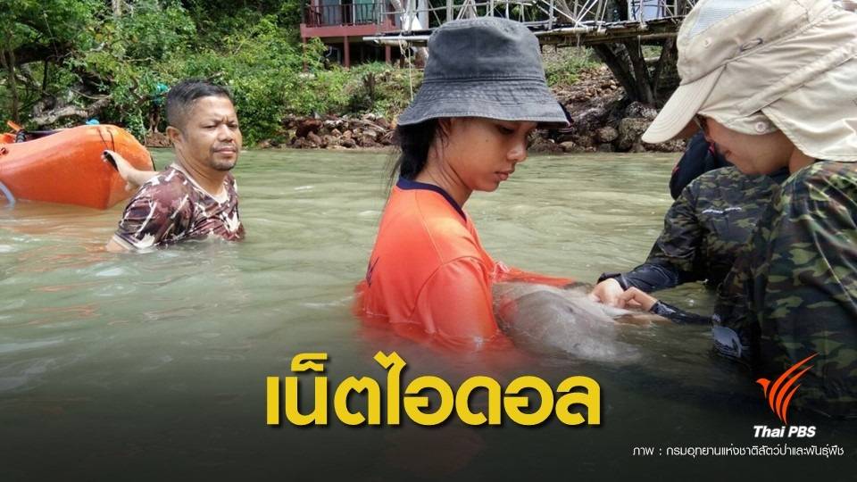 เกาะลิบง จ.ตรัง บ้านใหม่พะยูน "มาเรียม"