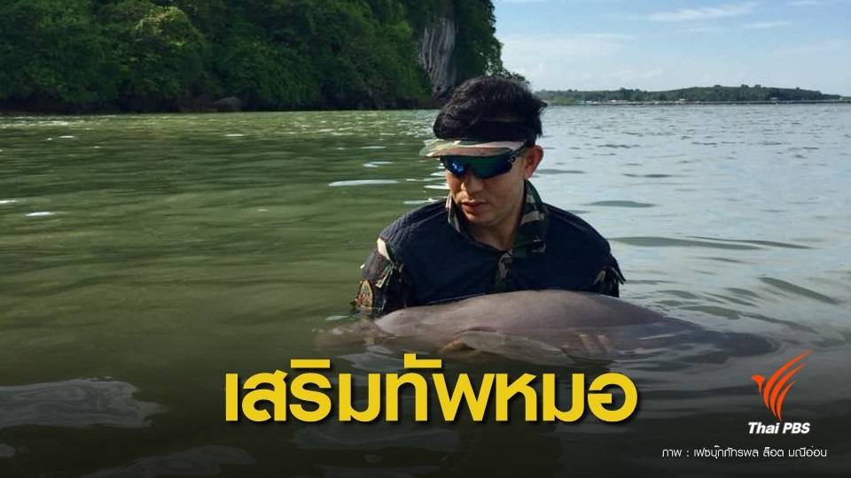 "หมอล็อต" นำทีมสัตวแพทย์กรมอุทยานช่วยดูแล "มาเรียม"