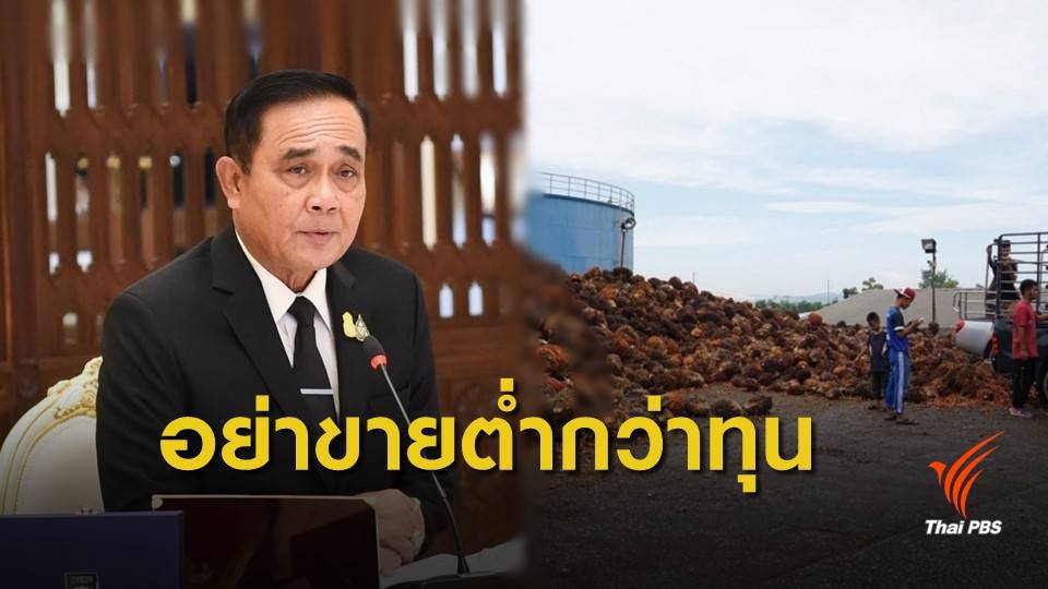 นายกฯ พอใจมาตรการรัฐดันราคาปาล์มปรับตัวสูงขึ้น