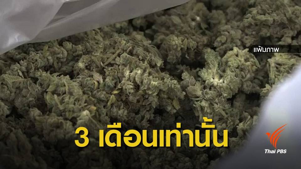 อย.ให้ผู้ป่วยครอบครองกัญชาได้อีก 3 เดือน หลังแจ้งนิรโทษ