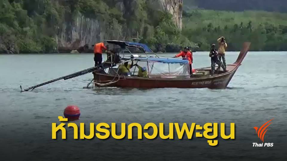 วางทุ่นกำหนดเขตคุ้มครอง "พะยูน" เกาะลิบง