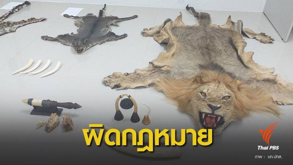 บุกจับหนุ่มครอบครองซากสัตว์ป่า พบเป็นผู้ต้องหาคดีหมิ่นเบื้องสูง