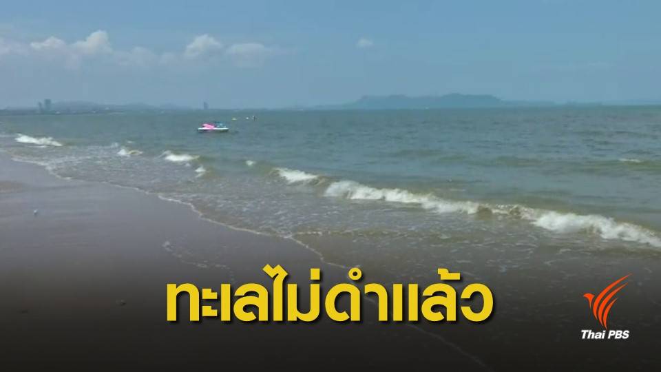 "หาดจอมเทียน" เปิดเล่นน้ำปกติ เดินหน้าหาแนวทางบำบัดน้ำเสีย