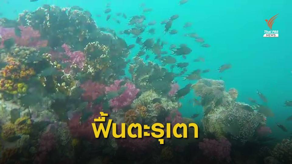 THE EXIT : ฟื้นชีพ "ตะรุเตา" ตอน 2