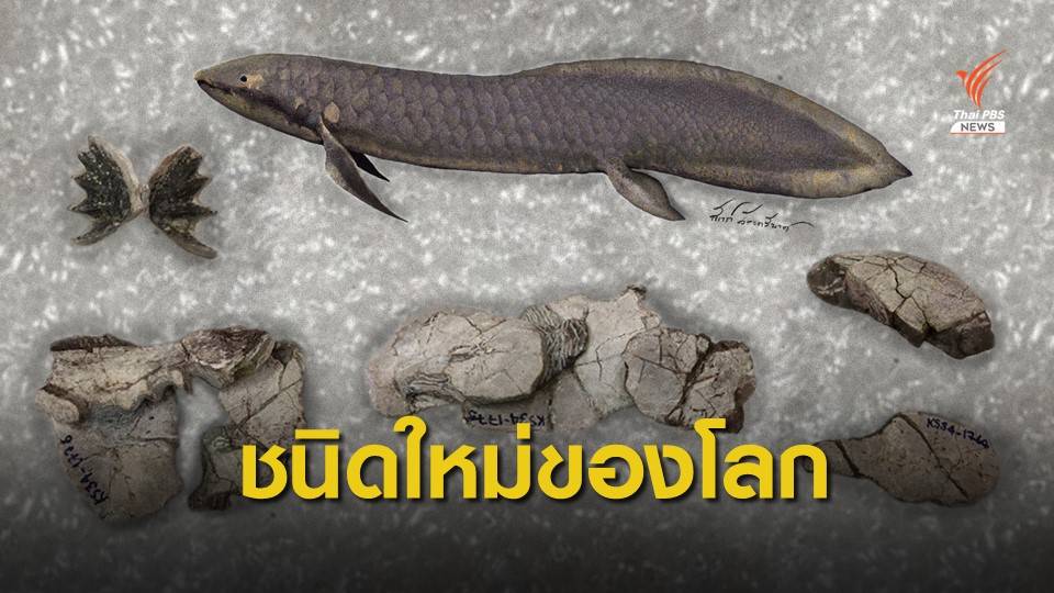 ชนิดใหม่โลก! ฟอสซิล "ปลาปอด" 150 ล้านปี จากแหล่งภูน้อย 