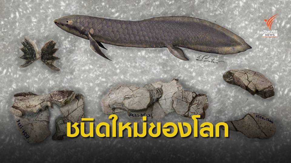 ชนิดใหม่โลก! ฟอสซิล "ปลาปอด" 150 ล้านปี จากแหล่งภูน้อย