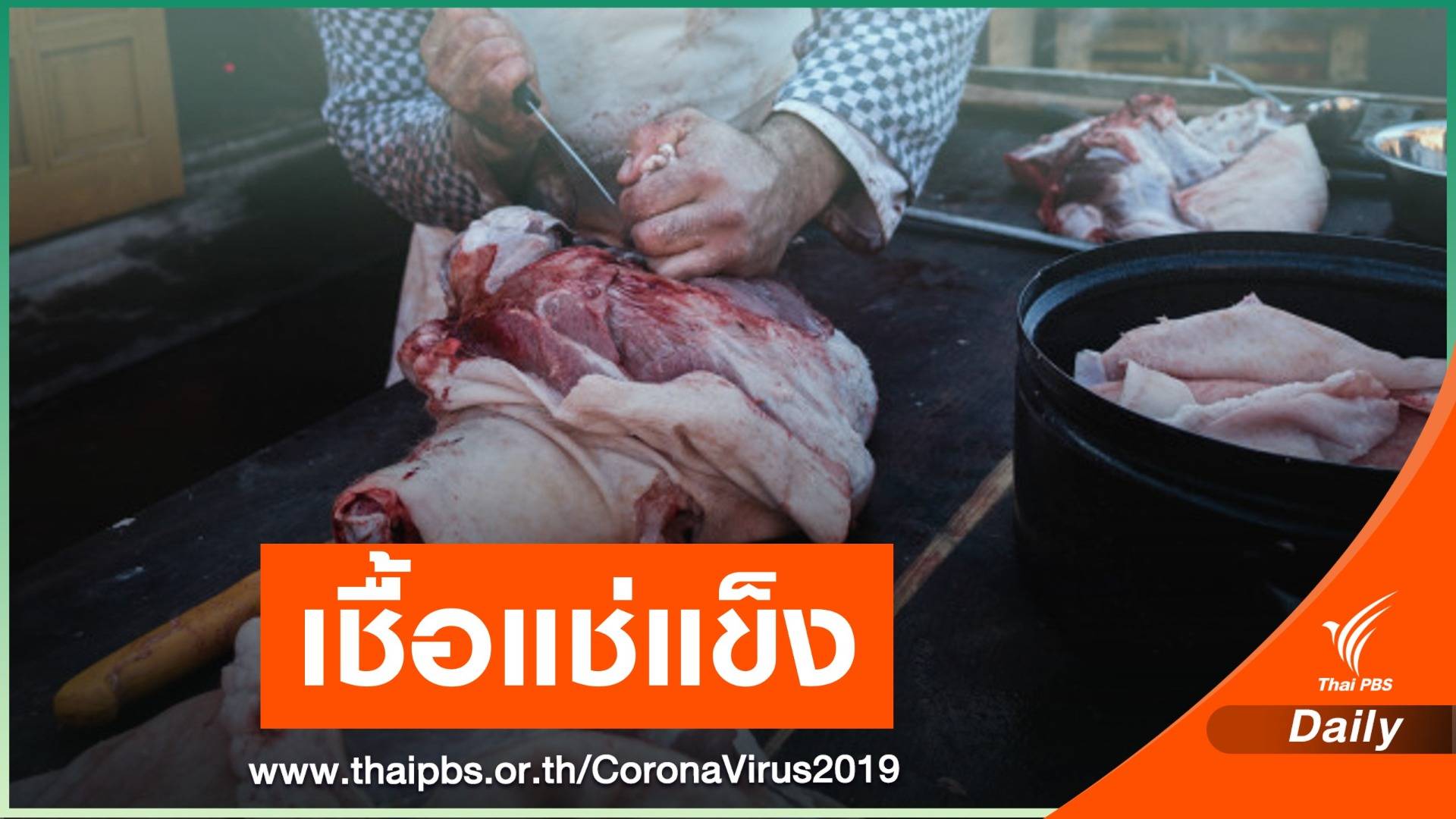 คนงานจีนติด COVID-19 จากขาหมูเยอรมันแช่แข็ง