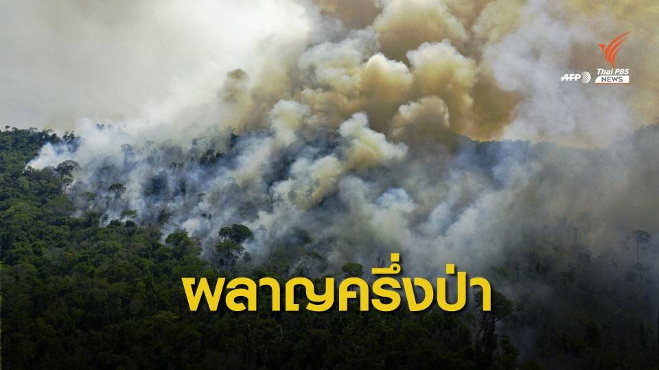 จับตา! ผืนป่าแอมะซอนถูกทำลายมากที่สุดในรอบ 12 ปี