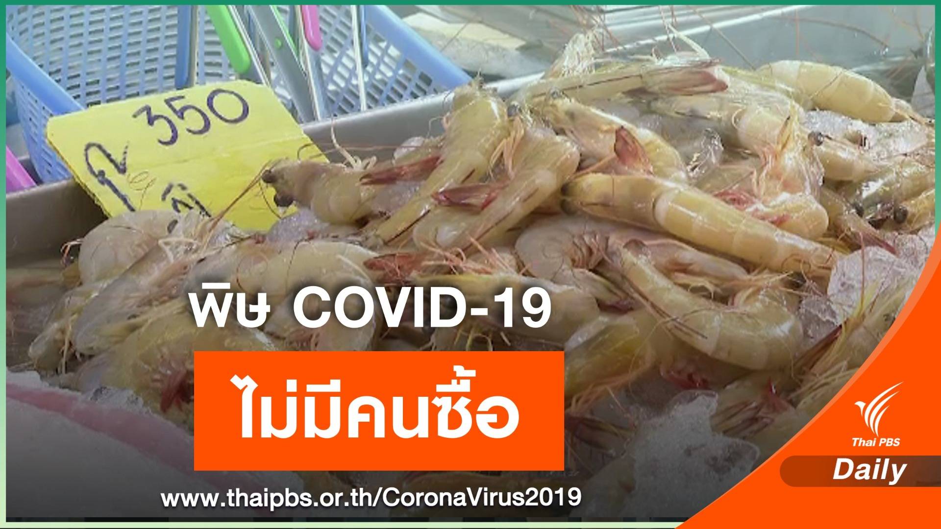 พ่อค้ากุ้งเครียด เลือกจบชีวิต ไม่มีเงินใช้หนี้