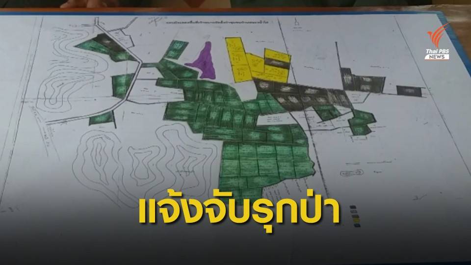 "กรมป่าไม้" แจ้งความแม่ธนาธร รุกป่า 450 ไร่-เพิกถอนอีก 2,000 ไร่