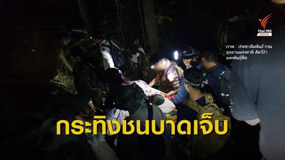 กระทิงชน จนท.ซี่โครงหัก ขณะลาดตระเวนป่า