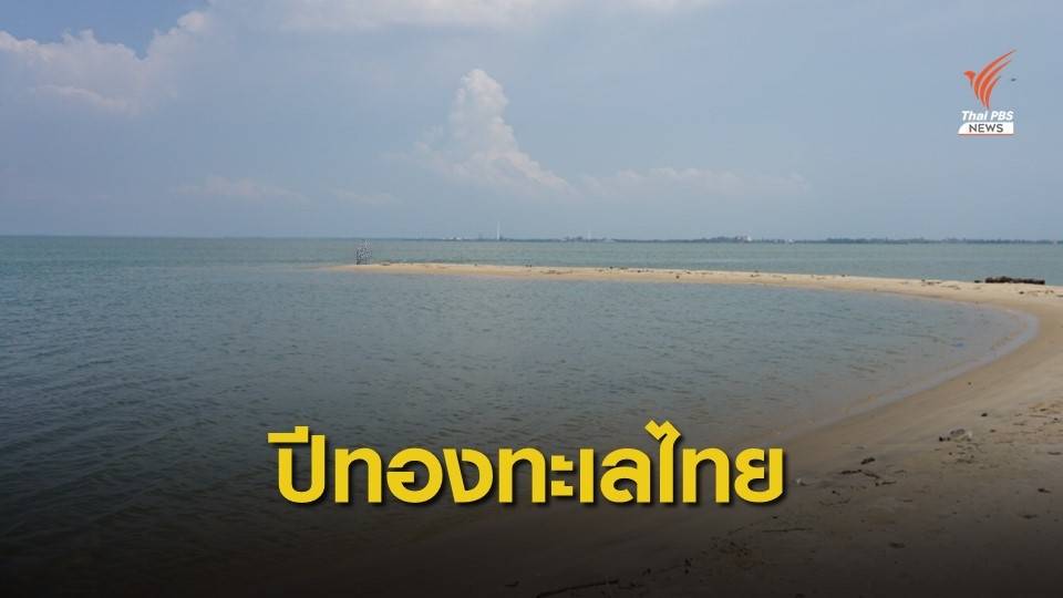 "ธรณ์" ยกปีนี้ปีทองทะเลไทย แทบไม่พบปะการังฟอกขาว