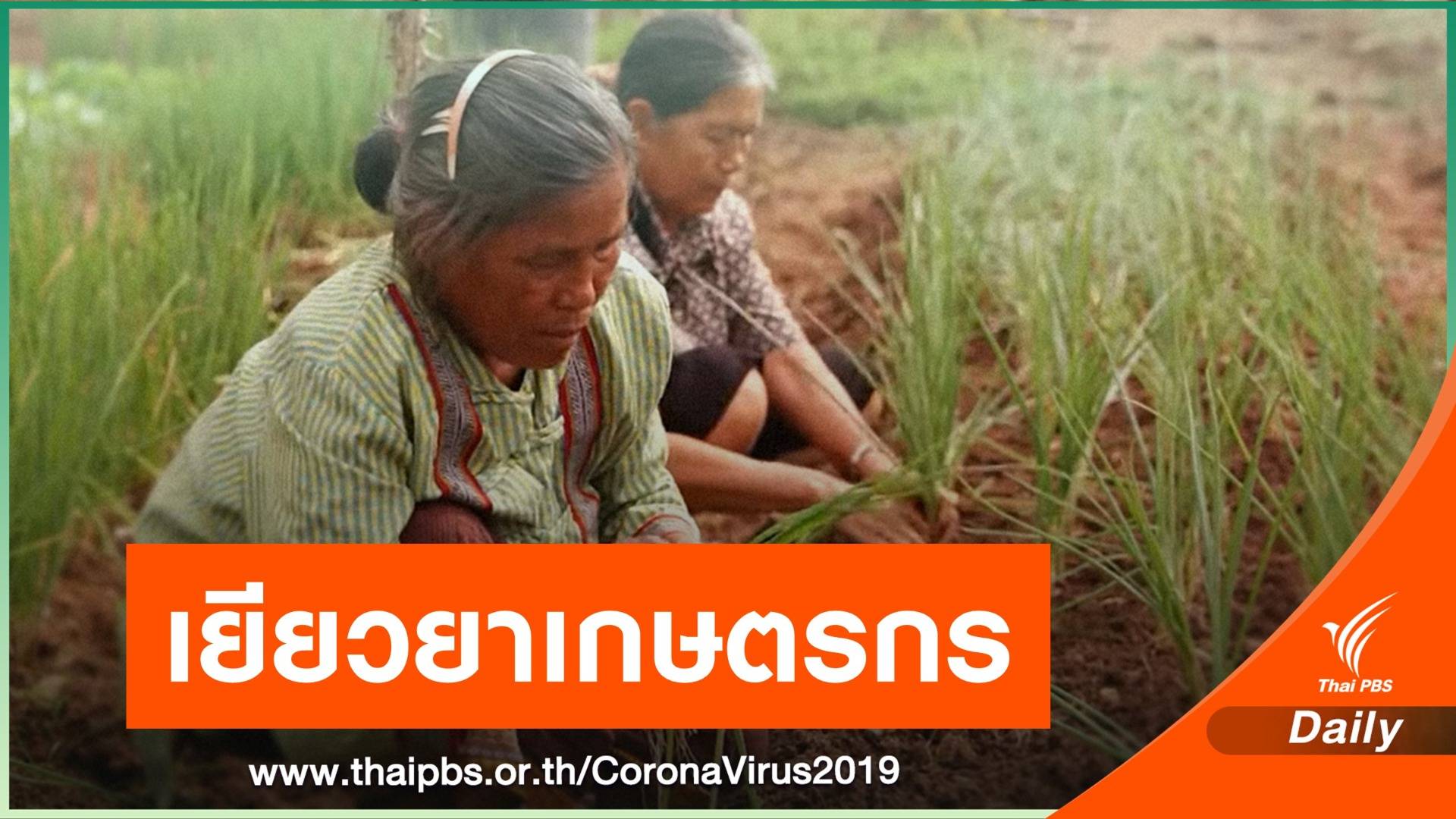 ธ.ก.ส.เตรียมโอนเงิน 5,000 ช่วยเกษตรกรขึ้นทะเบียน 10 ล้านคน