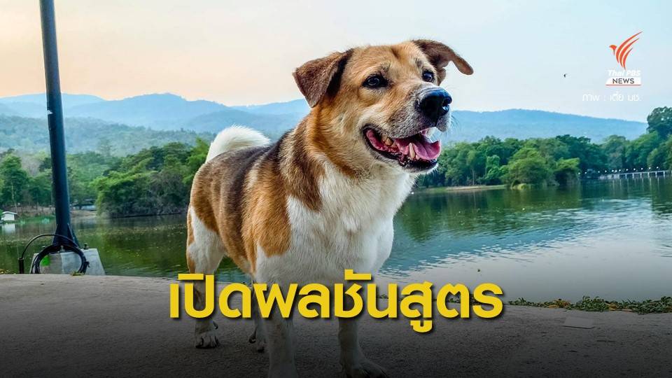 ผลชันสูตร "เตี้ย มช." ถูกกระแทกรุนแรงก่อนตาย