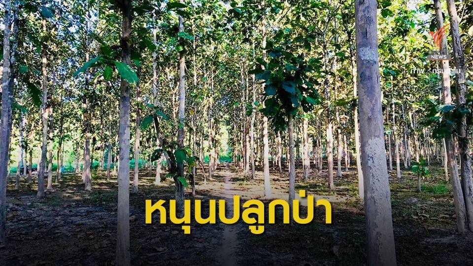 "วราวุธ" เล็งปลดล็อกชงปลูกป่าในที่ดิน ส.ป.ก.