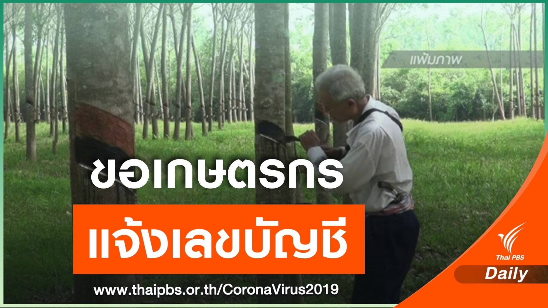 ธ.ก.ส.ขอให้เกษตรกรกว่า 4 แสนคน แจ้งเลขบัญชีเพื่อรับเงินเยียวยา