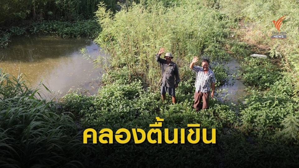 คลองตื้นเขินดินเป็นโคลน  วัชพืชเต็มคลอง ทำการเกษตรไม่ได้