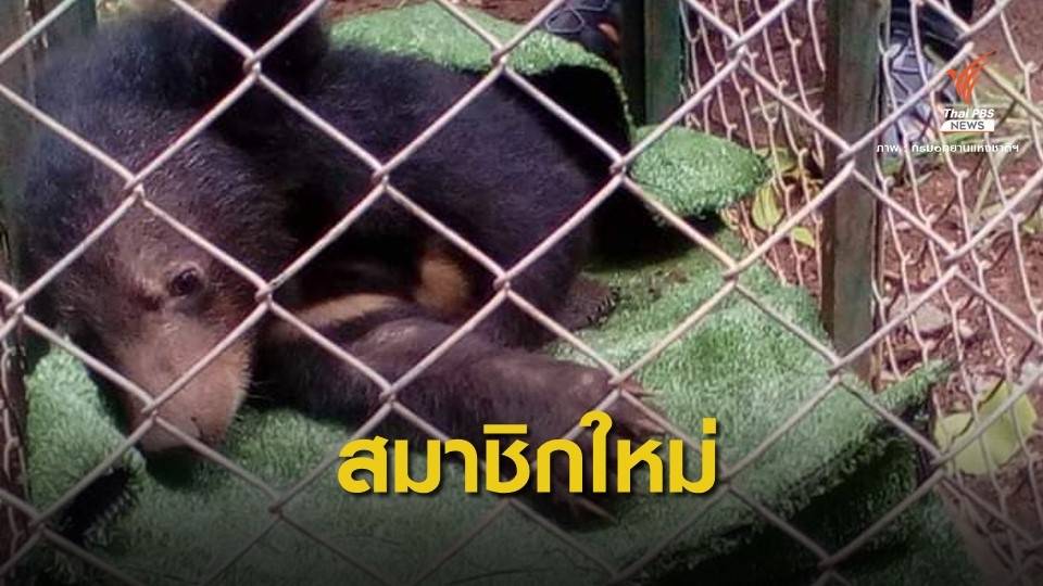 ส่งตัว "ลูกหมีภูกระดึง" รวมแก๊งบ้านคา-กันเองที่ จ.ราชบุรี