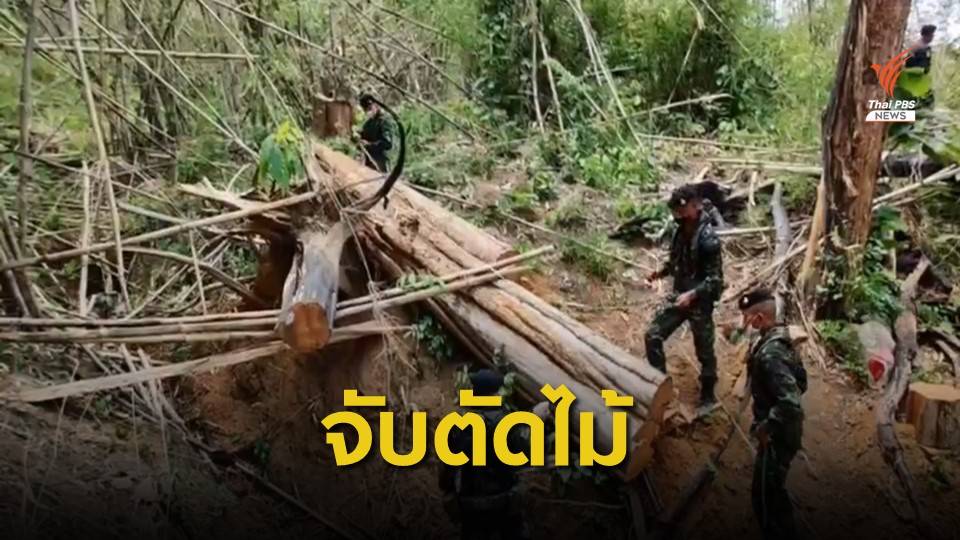 ทหารจับ-ยึดไม้กว่า 100 ท่อน ในป่าสงวนฯ แม่สอด จ.ตาก