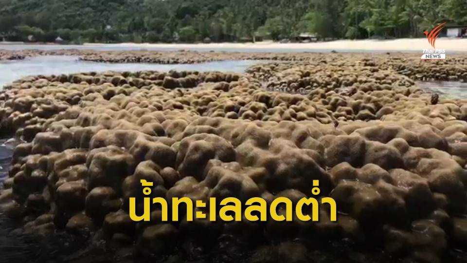 น้ำทะเลลดต่ำสุด ปะการังเกาะทะลุโผล่พ้นน้ำ