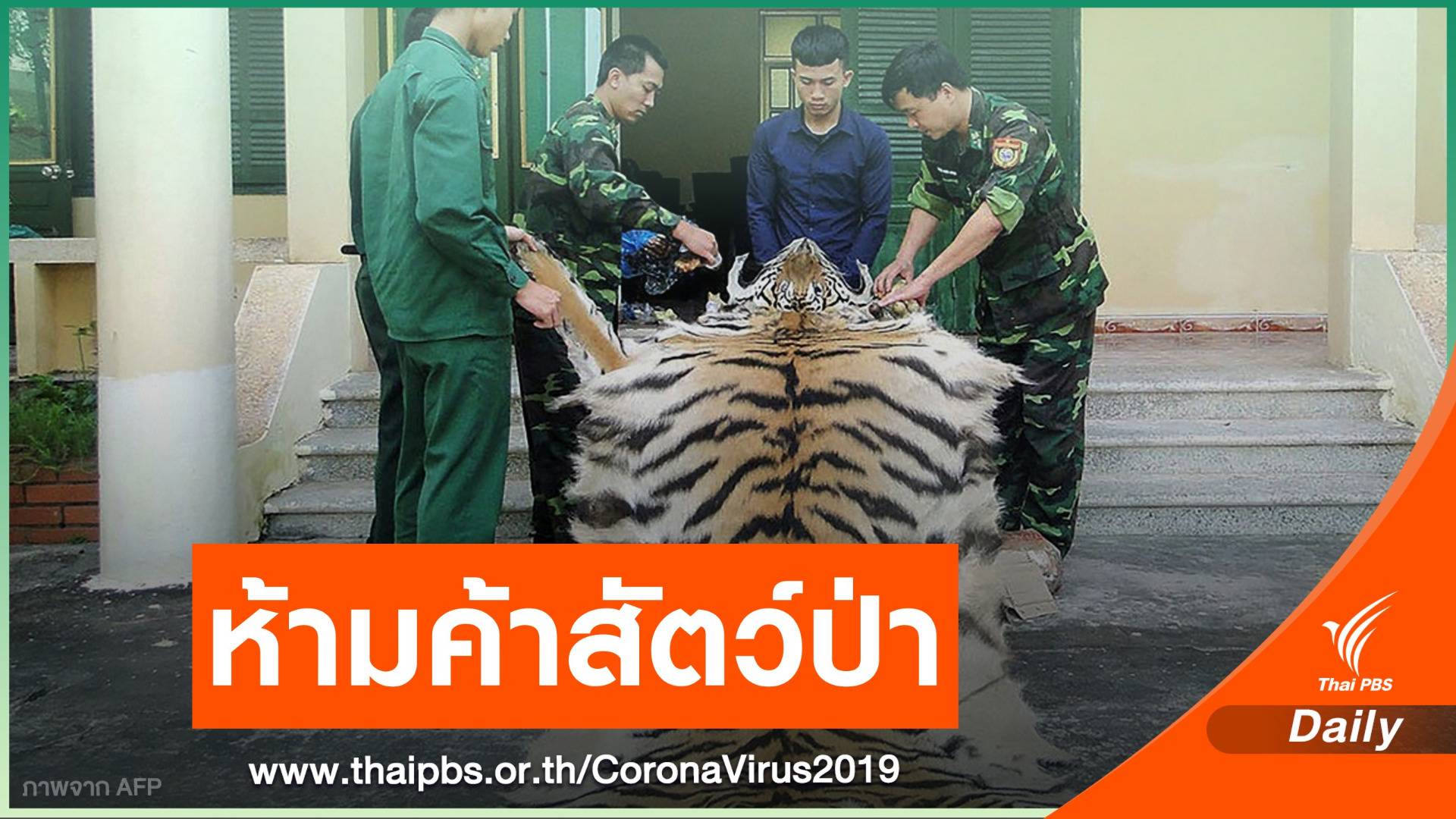 เวียดนามสั่งห้ามล่า-ค้าสัตว์ป่าป้องกัน COVID-19 ระบาด