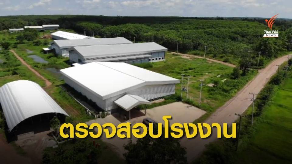 THE EXIT : ตรวจสอบก่อสร้างโรงงานแปรรูปยางพารา จ.บึงกาฬ