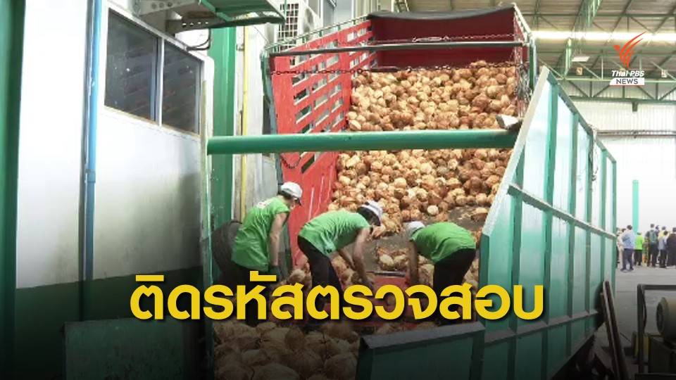 จ่อติดรหัสตรวจสอบสินค้า ยันไม่ใช้แรงงานลิงเก็บมะพร้าว