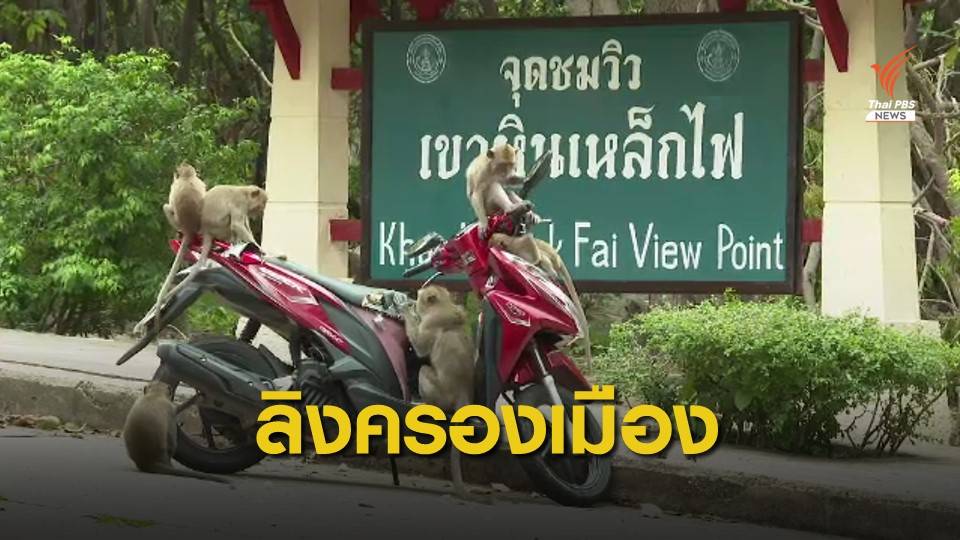 THE EXIT : ปัญหากระทบกระทั่งลิงกับคน ตอน 1