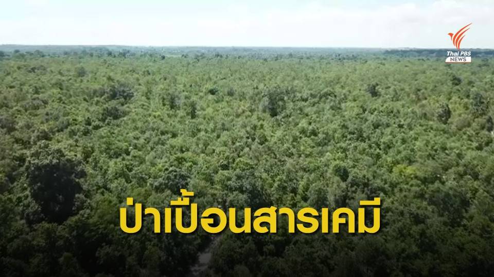THE EXIT : ป่าเปื้อนสาร (ตอน 1)