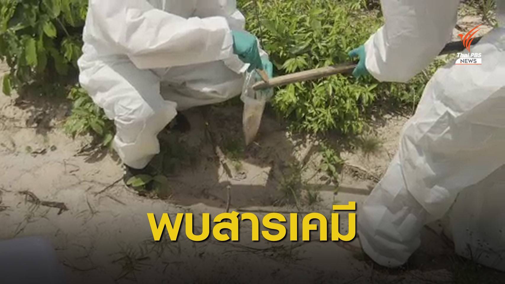 THE EXIT : ตรวจพบสารเคมีตกค้างในดินป่าดงชี (ตอน 2)