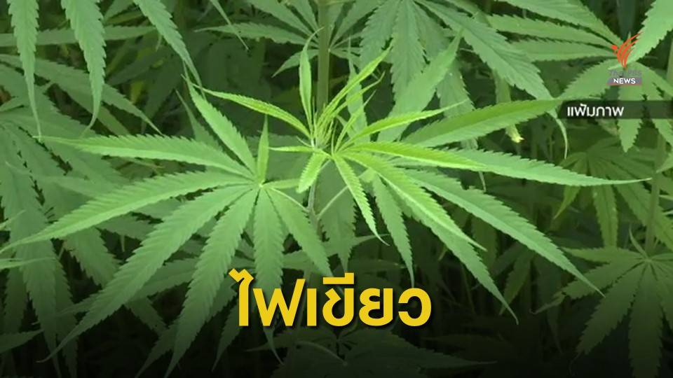 ครม.เห็นชอบร่าง พ.ร.บ.ยาเสพติดให้โทษ ฉบับใหม่