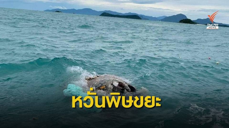 ห่วงขยะ 90 ตัน จากเฟอร์รี่ล่มก่อมลพิษทะเลสมุย