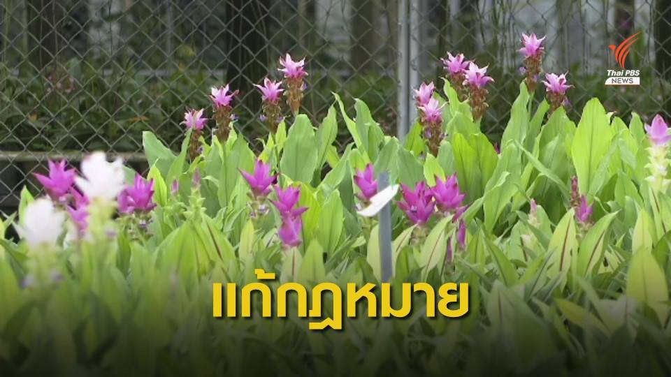 ไทยเตรียมพิจารณาจุดยืนต่อ CPTPP