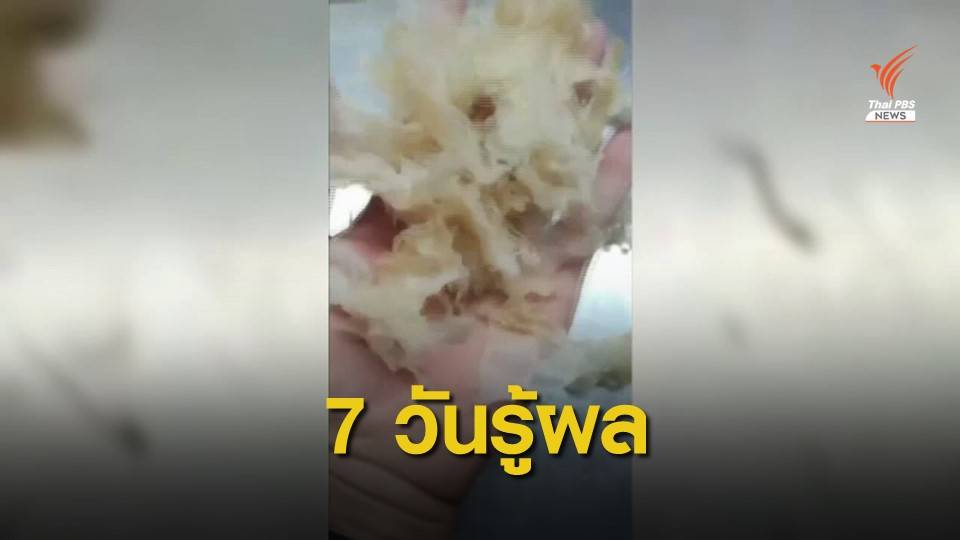 7 วันรู้คำตอบ "แมงกะพรุน" จริงหรือปลอม